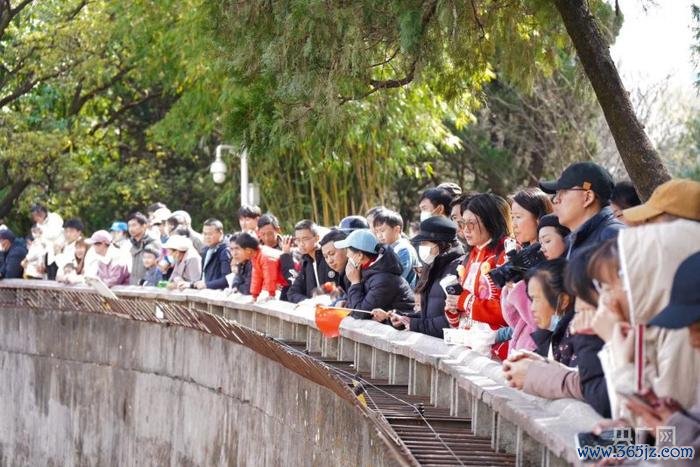 市民及旅客恭候猫出现（央广网记者 魏文青 摄）